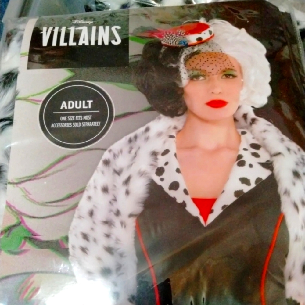 Ladies costume #1654